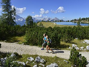 Wanderer auf Wanderweg