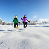 Schneeschuhwanderer 