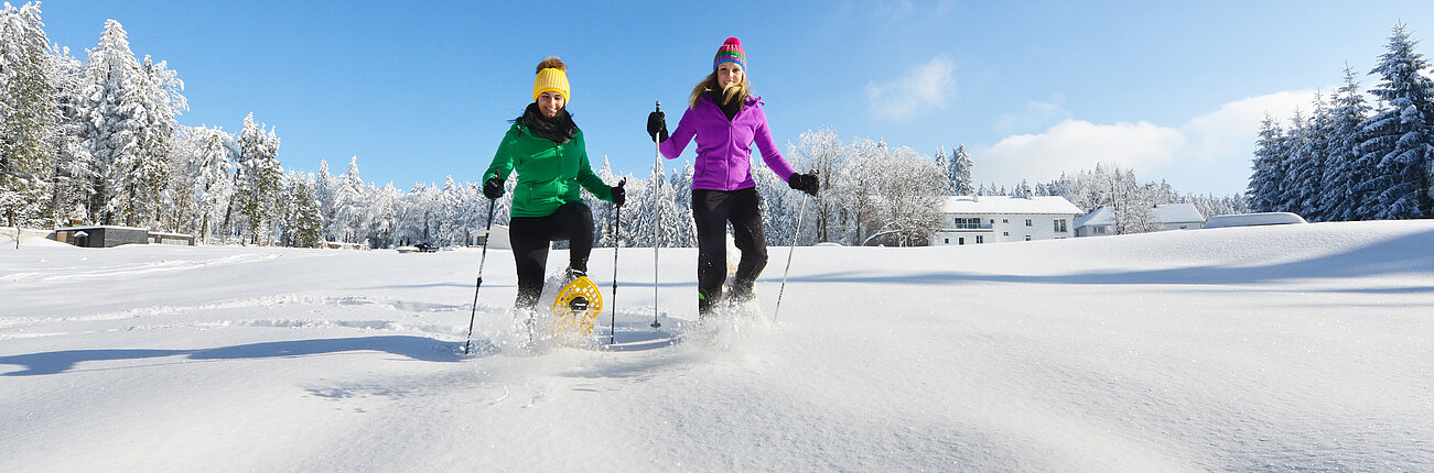 Schneeschuhwanderer 