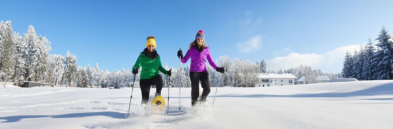 Schneeschuhwanderer 