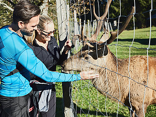 Paar mit Hirsch am Zaun
