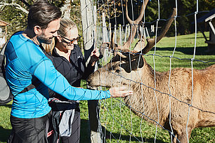 Paar mit Hirsch am Zaun