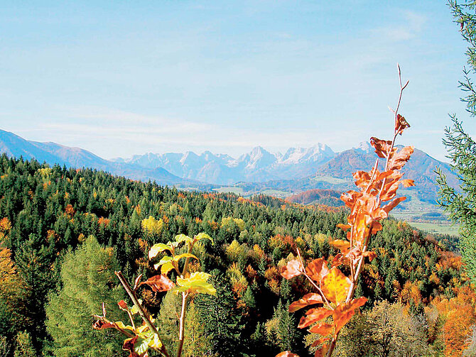 Blick vom Wurbauerkogel auf das tote Gebirge