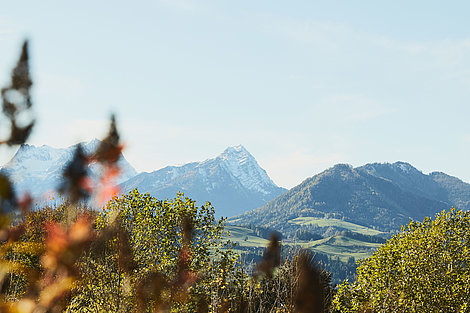 Blick vom Garten in die Berge 