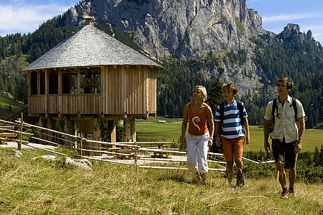 Wanderer vor Alm